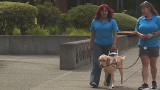 ‘Careers and Canines’ program helps the blind smash the stigma