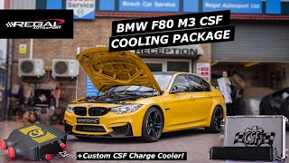 CUSTOM S55 M2C/M3/M4 CSF Cooling Upgrade - Spectre Grey x Speed Yellow Charge Cooler! QueenB