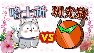 【祈Iruni精華】這可不能輸．土味情話大對決．250609