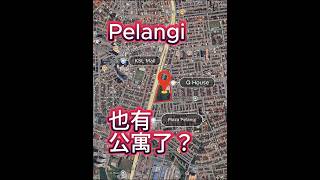 🇲🇾 新山Taman Pelangi有新公寓了!!!