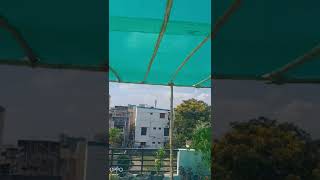 Shadenet Setup with Bamboo Stick Garden Hints and Tips Shade net for plants net house vs green house