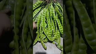Pete..... 😛😝😜🤪 | #petai #buahpetai #lalappete