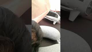 박경태 박무성