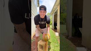 I Picked FRESH Coconuts in Hawaii! 🥥🤤 #AlwaysHydrated