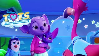 Night Flight | T.O.T.S (Tiny Ones Transport Service) | Clip
