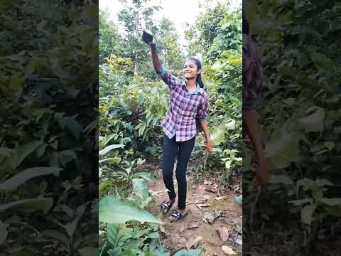 #sambalpuri tiktok video new sambalpuri
