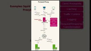 Forward Proxy vs Reverse Proxy