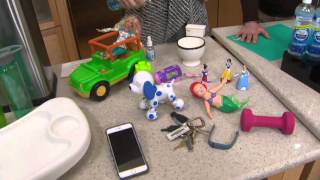 CleanSmart Household Disinfect & Sanitize Kit on QVC