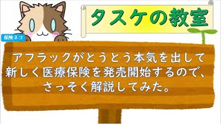 ２０２１年１月１８日発売！アフラックの医療保険EVER Primeをさっそく解説してみた。
