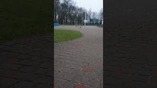 бояться 🦆