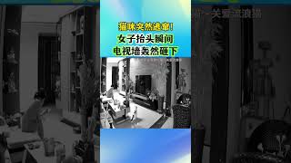 猫咪突然逃窜！女子抬头瞬间，电视墙轰然砸下...... #猫咪