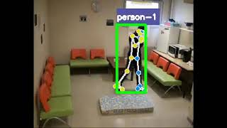 Fall Detection Using CNN and LSTM