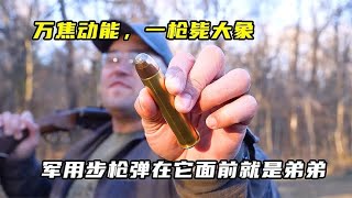 萬焦動能特種狙擊槍！一槍能斃大象…軍用步槍彈在它面前就是弟弟太嚇人了！ #武器 #枪支 #防弹 #子弹 #射击