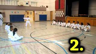 Self Train - Wadoka Grading System - 24 Kata