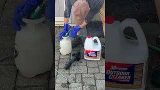 How To Clean Concrete Pavers - Remove Moss and Algae from Patio #shorts