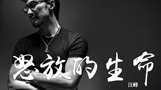 汪峰 -《汪峰經典歌曲新編精選集》- 怒放的生命｜CC歌詞字幕