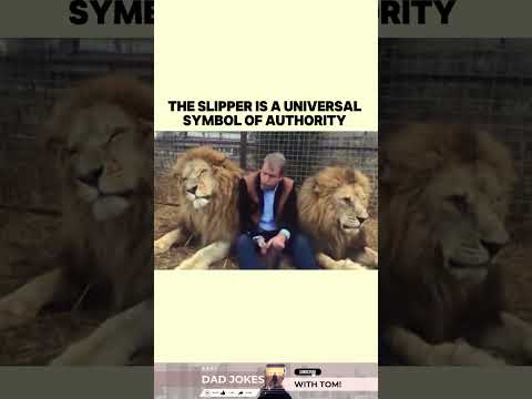 Universal Authority Slippers – FEAR the Flip-Flop 👀💀