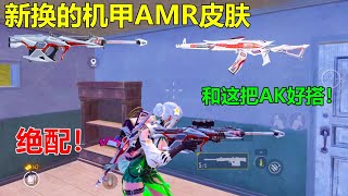 花250兑换的机甲AMR皮肤，和这把AK太搭了，超级好看有没有