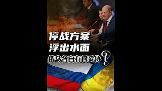俄乌停战方案浮出水面，泽连斯基选择妥协！普京能否让步呢？