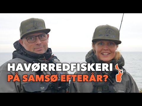 Havørredfiskeri efterår! På jagt efter havørred på Samsø🎣