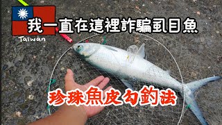 台灣釣魚樂（67）我一直在這裡詐騙虱目魚最簡單釣法珍珠魚皮勾