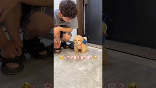 爸爸：挨骂习惯了，不骂浑身难受…呜呜呜