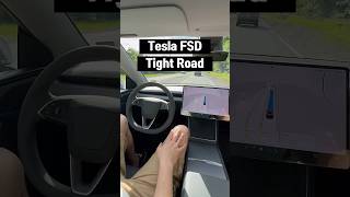 Tesla FSD Handles a Tight Road in Hurry Mode #tesla #teslafsd #fsd