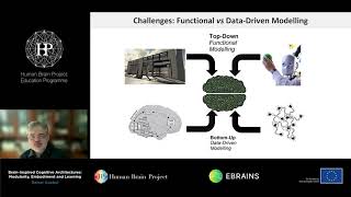 Goebel Rainer - Brain-Inspired Cognitive Architectures: Modularity, Embodiment and Learning