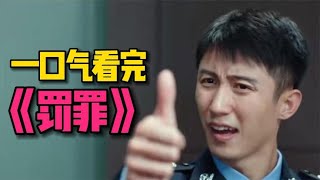 2022年最敢拍的电视剧，真实事件改编！一口气看完《罚罪》全集！