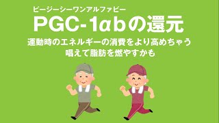 PGC-1αb（ピージーシーワンアルファビー）の還元は年をとっても運動して脂肪を燃焼しやすくしてくれるかもしれない大嶋信頼さんの遺伝子コード