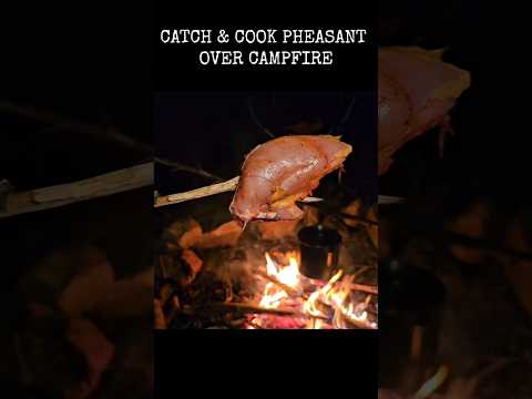 Hunting and cooking pheasant over the campfire