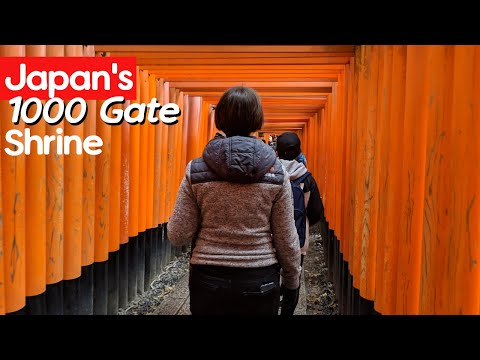We Cycled to Kyoto's Famous 1000 Gate Shrine!