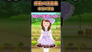 【2ch感動スレ】感動の迷言集〜本当の理由〜