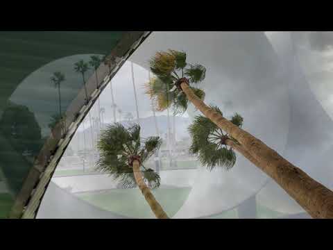 Palm Springs Vacation