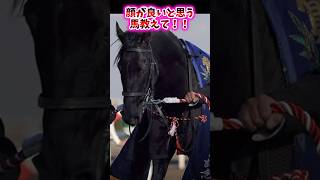 Tell us which horse you think has the best face! [Horse Racing Reactions]