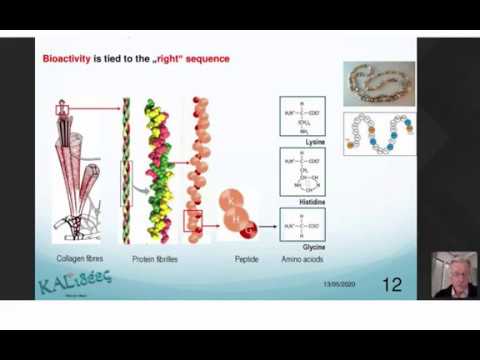 "Peptides in Cosmetics" by Dr. Karl Lintner