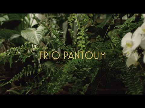 Meet Trio Pantoum | Hugo Meder, Bo-Geun Park, Kojiro Okada