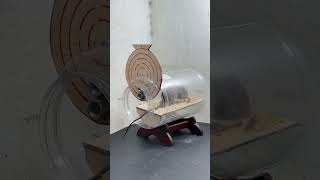 Homemade plastic bottle mouse trap /easy mouse trap #mouse #mousetrap #rattrap #rat #trap