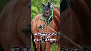 可愛さと勝負強さを兼ね備えたG1馬ベラジオオペラに関する雑学 #shorts #競馬 #ウマ娘 #ベラジオオペラ #大阪杯2024