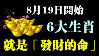 8月19日開始，6大生肖就是發財的命，福德宮為官星化權，表示他們可掌握權力，地位崇高，可謂是名利雙收，要錢有錢，要勢得勢！｜生肖命理
