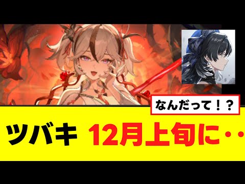 【ツバキ】12月上旬に神イベントが来ます