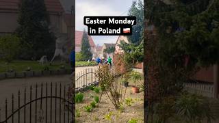 Easter Monday in Poland 🇵🇱😂 #poland #travel #easter #smigusdyngus #europe #slavicculture #polska