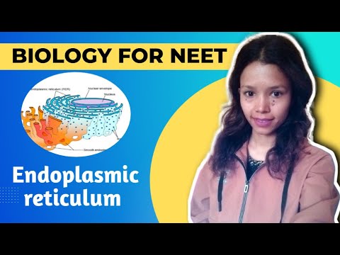 Endoplasmic reticulum structure and function | #neet | Lt | Lecturer