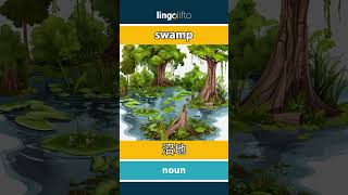 🇬🇧🇯🇵 swamp - 沼地 : vocabulary builder : learn English : 英語を学ぼう