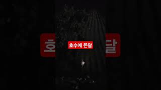 #호수에뜬달 밤하늘 달빛이 모내기를 완료한 논바닥에 비추어 있습니다. #김제가볼만한곳 #김제농가민박펜션 #금모래마당펜션 #김제숙소 #김제펜션