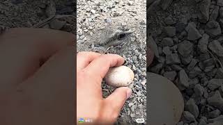 4000 whact time Komedy video# হাসির ভিডিও @kulin kulin
