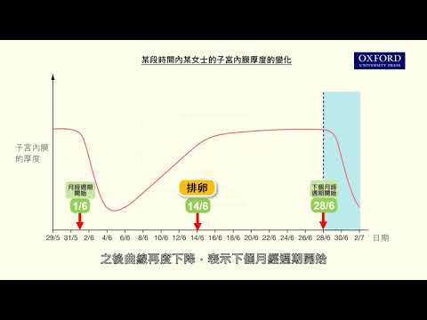 網上學堂13.1 詮釋子宮內膜厚度隨時間變化的圖表