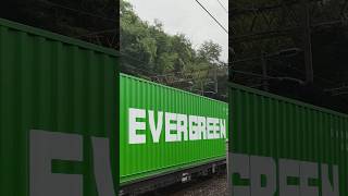 第一次看到載貨櫃的火車！ 7556 #train #台鐵 #貨物列車