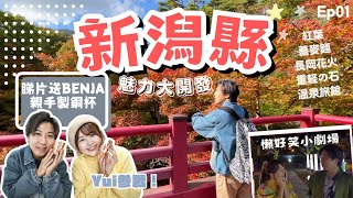 Benja送你新潟縣親手製禮物🎁教你買JR East Pass去新潟縣玩✈️！｜一起發掘紅葉景點🍁｜新潟縣名物：蕎麥麵・長岡花火・溫泉旅館｜ft.@U1.YuiTube｜JOY TV
