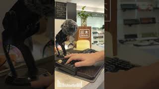 zenzo® ZKB104 HiFi APES 猿 客製機械鍵盤 灰木軸 聲音測試